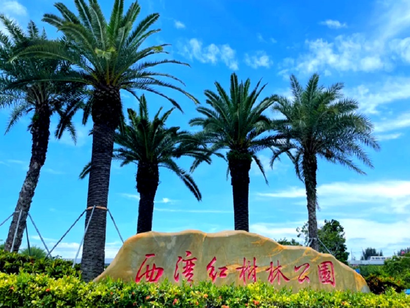 西湾红树林湿地公园